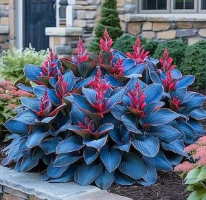 Хоста Грин Фог купить по цене от 669р. в интернет-магазине «Посадика» с доставкой почтой в в Черепановое и по всей России – [изображение №1].