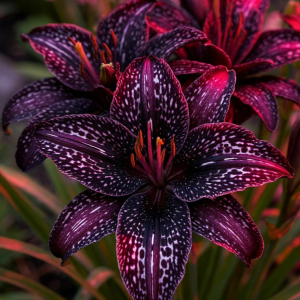 Лилейник Вояж купить по цене от 699р. в интернет-магазине «Посадика» с доставкой почтой в в Черепановое и по всей России – [изображение №1].