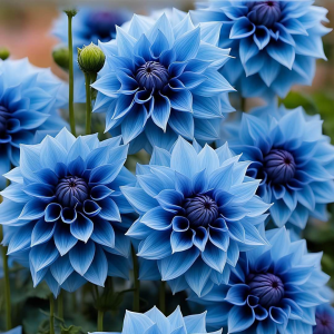 Георгин Вижапе купить по цене от 699р. в интернет-магазине «Посадика» с доставкой почтой в в Черепановое и по всей России – [изображение №1].